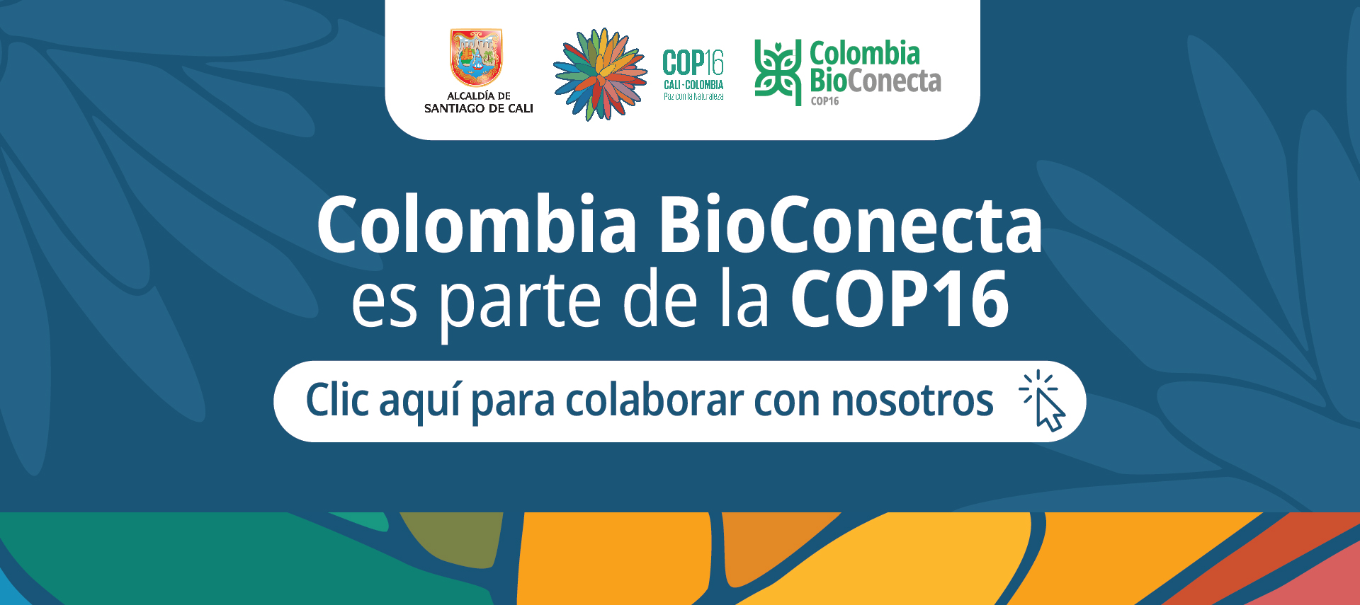 Colombia-bioconecta-español