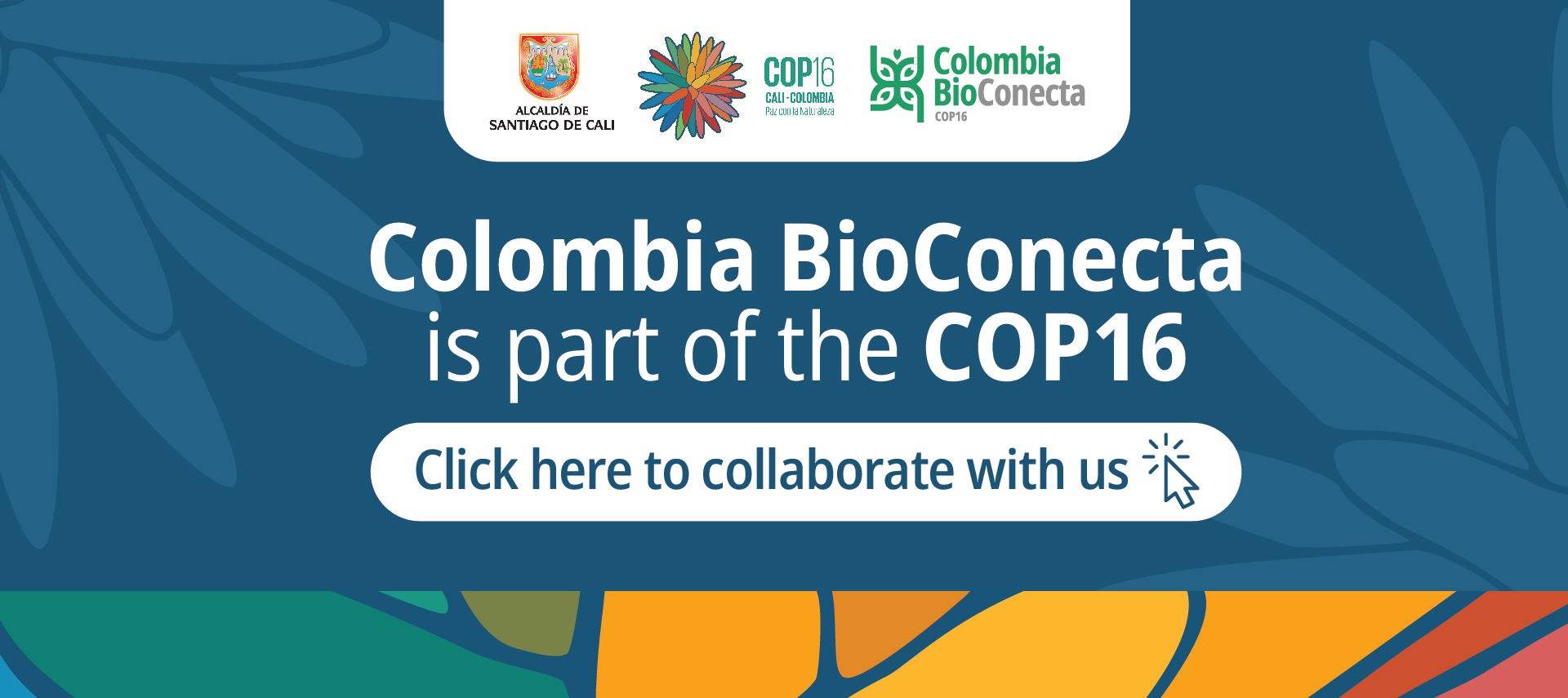 Colombia-bioconecta-ingles