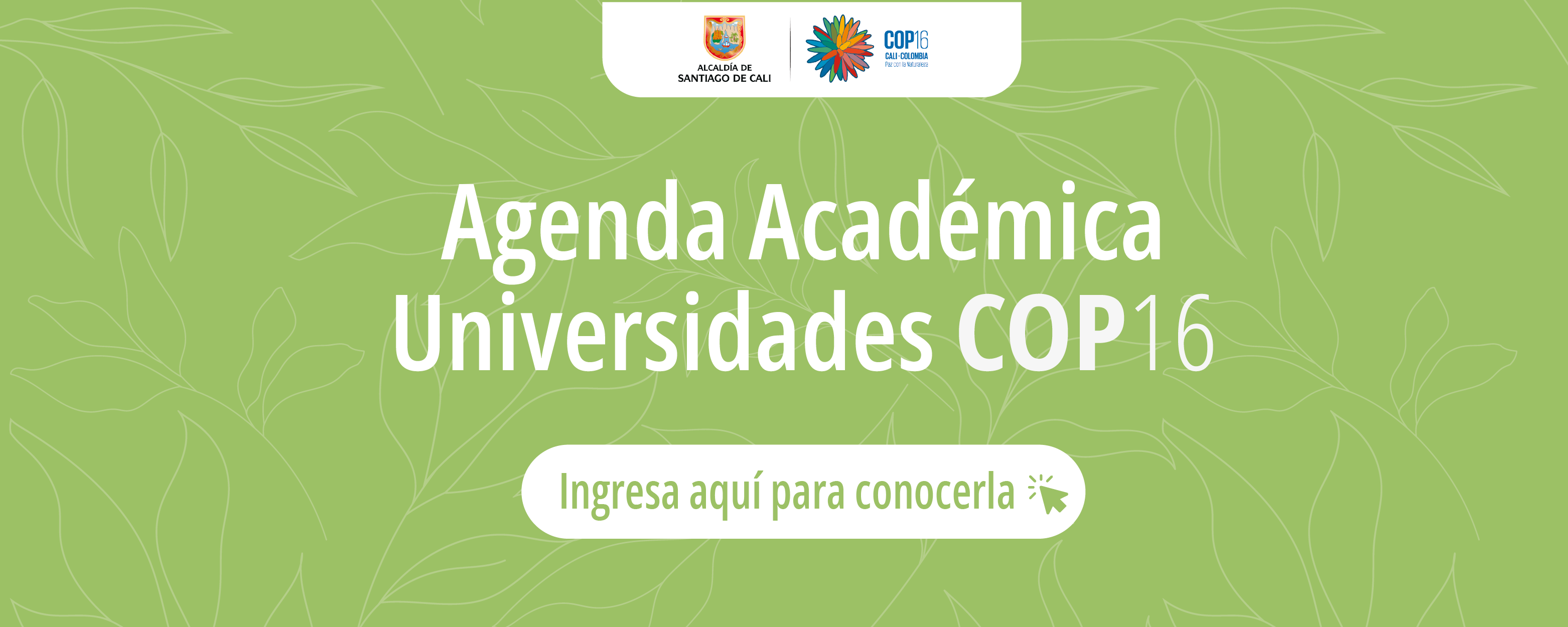 agenda-academica-universidades