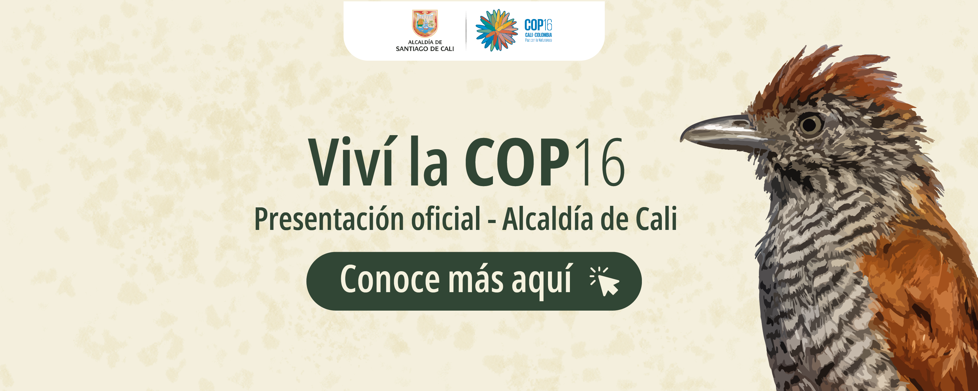 Vive-la-cop16