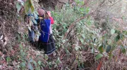 prácticas de estudiantes de la Javeriana Cali en Silvia, Cauca