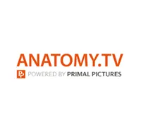 Anatomy.TV