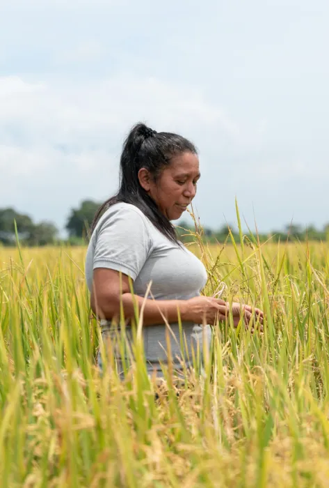 autonomía económica territorial autonomía económica territorial